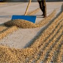 파티오커피 이미지