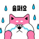 정선아기동물농장 이미지