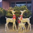 주앤경하우스 이미지