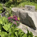 8코기네 애견펜션 이미지