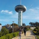완도항구 | 완도 타워 전망대 다시 찾은 후기