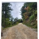 발구덕끝 | 정선 민둥산 등산코스 최단 시간 억새축제 돌리네 발구덕마을 2코스