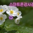 [백석]스마트폰활용지도사 이미지