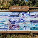 남제주 비행기 격납고 이미지