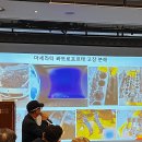 대현모터스 이미지