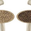 고트 복싱 이미지