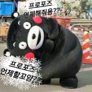 상상프로포즈 | [Wedding.09] 강릉 여행에서 프로포즈 받은 후기 + 부쉐론 콰트로 클래식 펜던트 XS 모티브 목걸이