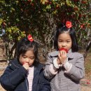 cu 영광중앙점 앞 | 영광 여행 백제불교최초도래지 벚꽃 구경 후기