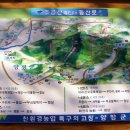 추읍산 번개산행 및 양평 산수유축제 관광여행 공고 (4월5일) 이미지