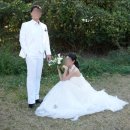 춘광 | [결혼준비] 스냅, 부산 웨딩스냅 춘광 야외스냅 촬영 후기 부산 피오레메이크업 내돈내산