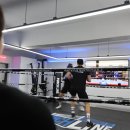 펀치라인복싱 이미지