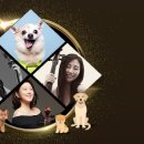 와카롱
