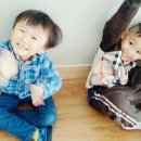 큰별샘유치원 Daum카페
