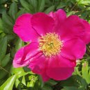 광대정천 이미지