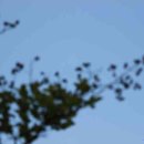 구청사거리 이미지