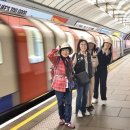 벌 민박 이미지