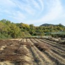 광계마을회관 이미지