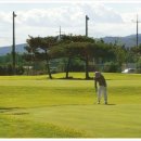 탑(스크린)골프클럽 이미지