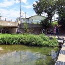 법동교차로 이미지