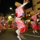 [세계의 축제] 아와 오도리 | Awa Odori 를 소개합니다. 이미지