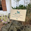 올레로하우스 | 제주도 서귀포 카페 제주올레코스 허니문하우스