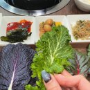 청양갈비&건강한쌈 | 청양맛집 중 가장 완벽했던 곳, 청양갈비&건강한쌈에서 풍성했던 식사 후기