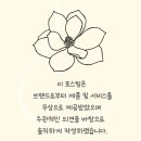 진스스킨케어