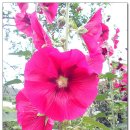 송현여자중학교 이미지