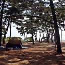 옹암해수욕장 이미지