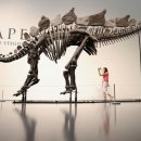 스테고사우루스-1 | 역대 공룡 화석 경매가 1위 스테고사우루스 &#39;Apex&#39;