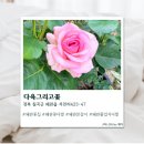 꽃그리고 | [왜관] 왜관꽃집 다육그리고꽃 솔직후기