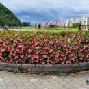 작곡가 박태준 흉상 이미지