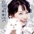 드림아이넷
