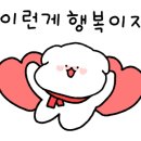 강아지 유치원 caredogs 이미지