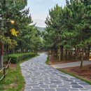 사하구 다대낙조1길, 2길 이미지