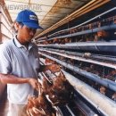 흥일농장 이미지