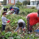 전남대학교 농업실습교육원 이미지