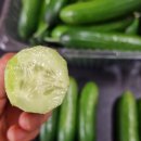 우성2농장 이미지