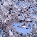 덕진구청 이미지