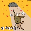 혜원3