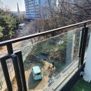 마이 비러브드 퍼피 이미지