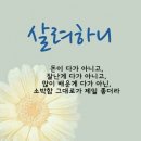 ☆성숙(成熟)에 대해서!!!🌷 이미지