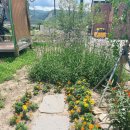 몽스데이 이미지