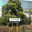 분당그린피아골프 이미지