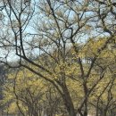 연인의길 화장실 이미지