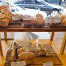 브레드댕댕 이미지