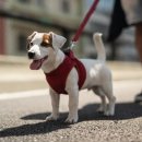 하남동물병원 이미지