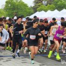 주식회사 지오코리아 이미지