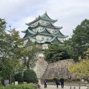 2022-10-0031 | 일본 나고야성 입장료와 관람 동선 포인트 정리