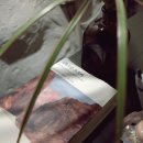 조르바민박 이미지